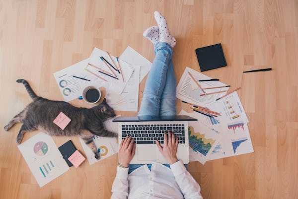 5 Millionen hybride Arbeitnehmer, kaum Richtlinien: die niederländische Lücke