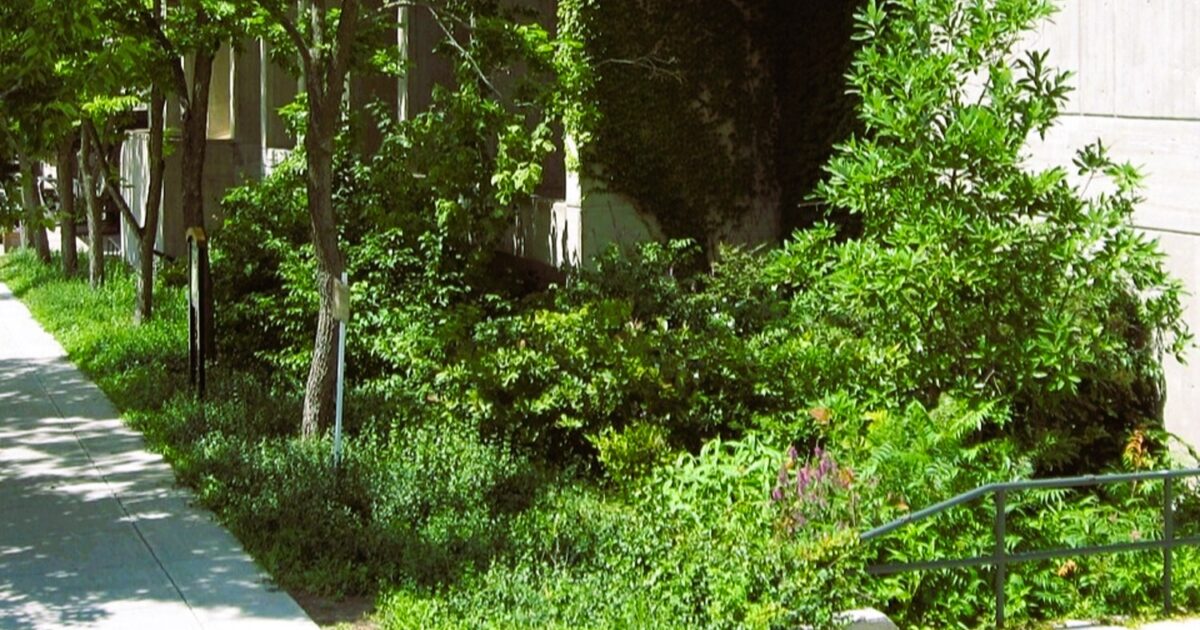 Regengaerten wandern vom Tiefbau ins FM-Handbuch der Smart Cities